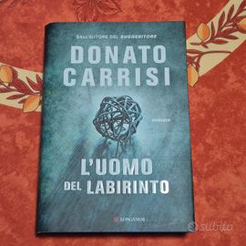 Donato Carrisi "L'uomo del labirinto "