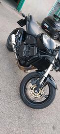 Honda Hornet 600 2011