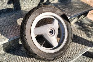 cerchio zip posteriore 