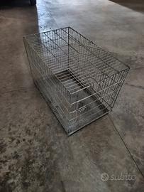 kennel