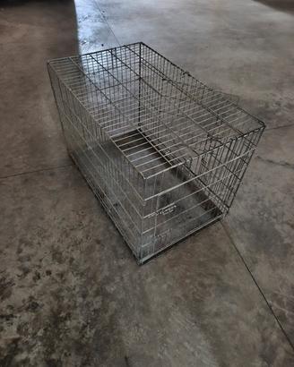 kennel