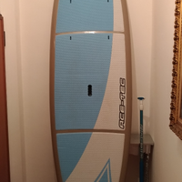 Tavola sup BIC surf