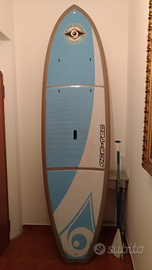 Tavola sup BIC surf