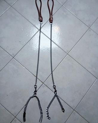 2 Collari con guinzaglio.