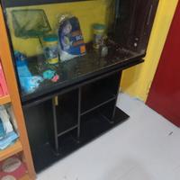 acquario  perfettamente funzionante 