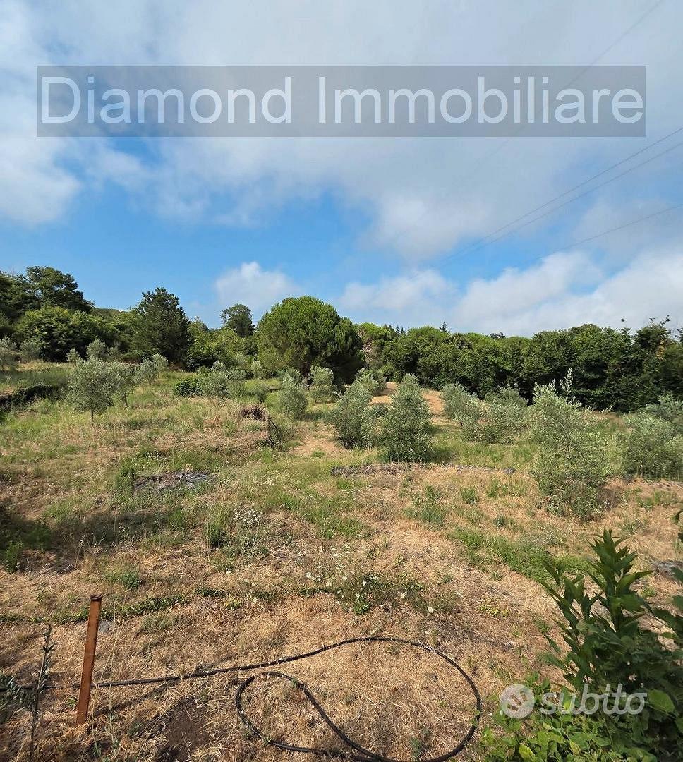 Terreno edificabile e agricolo con casa a Mascali - Vista 3
