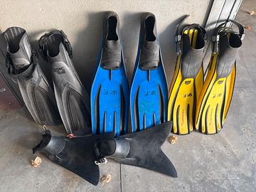 Pinne sub mares