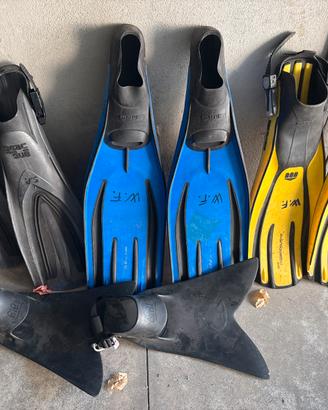 Pinne sub mares