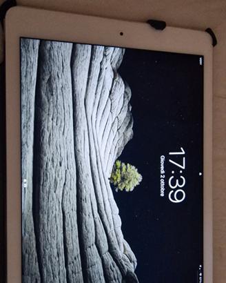 IPad Air 2 Wifi+4G