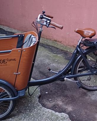 Cargo bike Babboe e-Curve usata e accessoriata