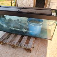 2 ACQUARI DA RIPARARE