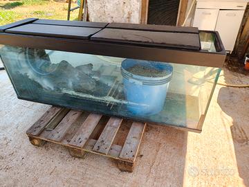 2 ACQUARI DA RIPARARE