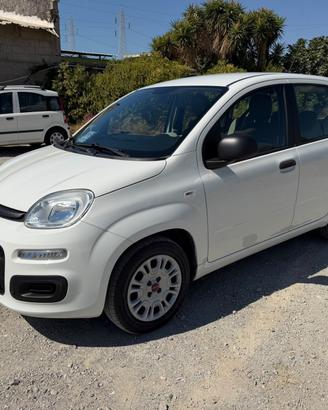 Fiat Panda 1.2 Benzina-Neopatentati-Anche Permuta