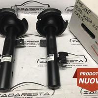 Kit Ammortizzatori Anteriori Ford Kuga 1919333