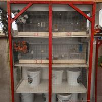 X esubero tolgo tutto