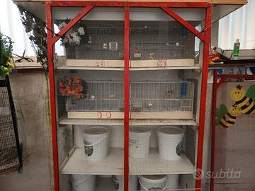 X esubero tolgo tutto