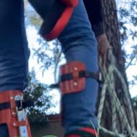 Ramponi per arrampicata alberi