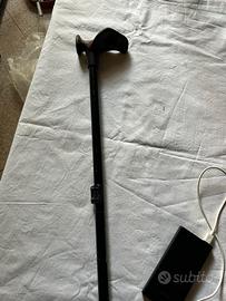 Bastone da passeggio