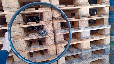 Ruota libera ant.  29" giant  & mozzo posteriore