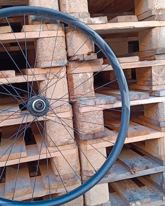 Ruota libera ant.  29" giant  & mozzo posteriore