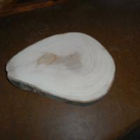 Fetta in legno tronco