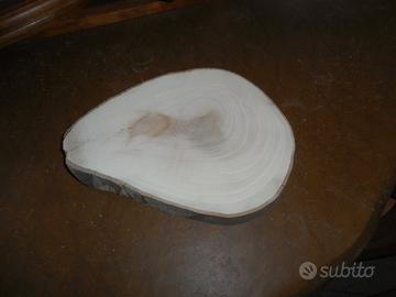 Fetta in legno tronco