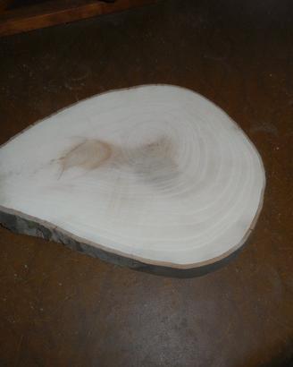 Fetta in legno tronco