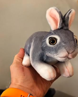Peluche Coniglio Grigio Morbido