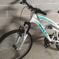 montanbike 