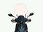 Immagine 1