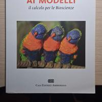 Dalle funzioni ai modelli - Benedetto, Maffei