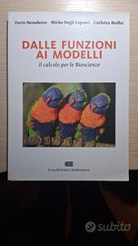 Dalle funzioni ai modelli - Benedetto, Maffei