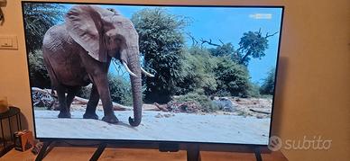 Tv LG Oled 55