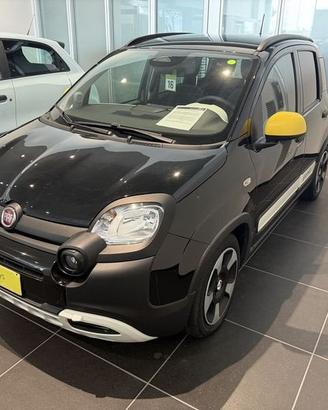 FIAT Panda 1.0 FireFly 70cv S&S Hybrid Pandina