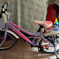 Bici Atala Skate 20" (pollici).