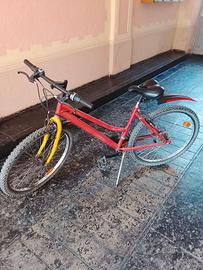 Bicicletta donna