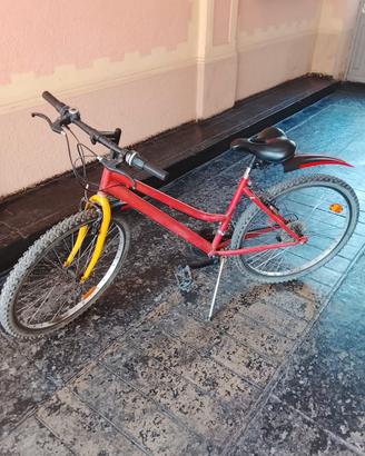 Bicicletta donna