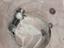 Immagine 26