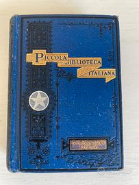 Il Misogallo, Vittorio Alfieri