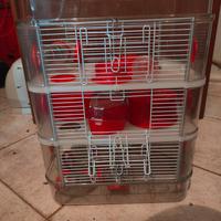 Gabbia per criceti 3 piani con accessori 