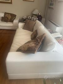 Divani