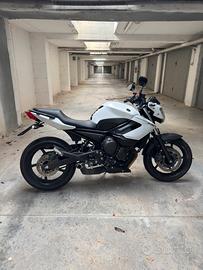 Yamaha XJ6