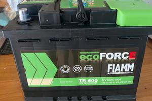 Batteria Fiamm