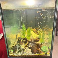 acquario
