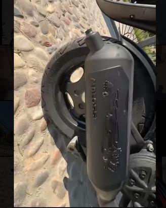 per Piaggio malossi wild lion senza strozzatori
