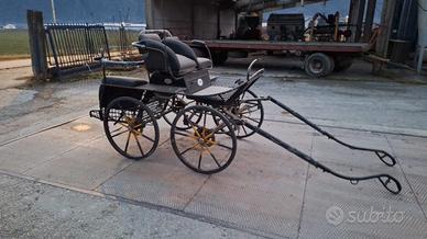 carrozza per cavalli 
