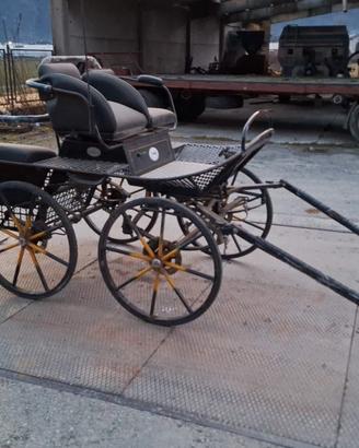 carrozza per cavalli 