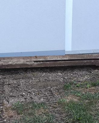 Putrella Ipe 20