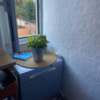 Klarstein Mini lavastoviglie (L55 x P50 x A58 cm)