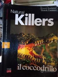 grandi predatori 